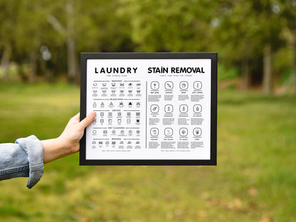 Laundry Symbols Guide with Stain Removal Wall art