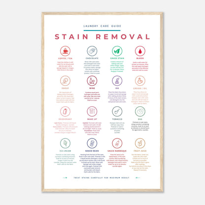 Stain Removal Instruction for Laundry Guide Colorful