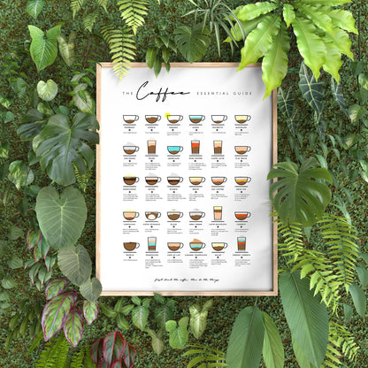 The Coffee Essential Guide